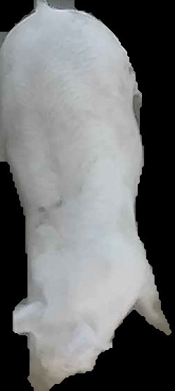 Crop