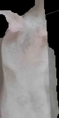 Crop