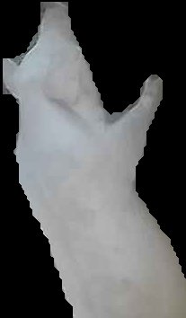 Crop