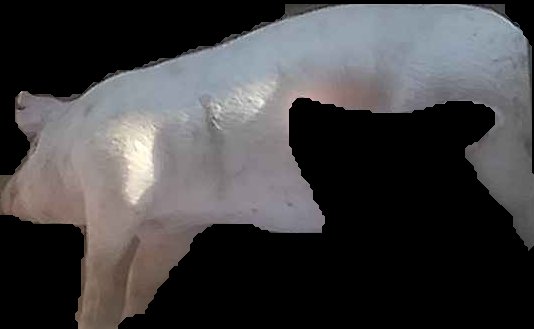 Crop