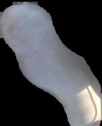 Crop