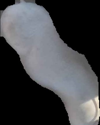 Crop