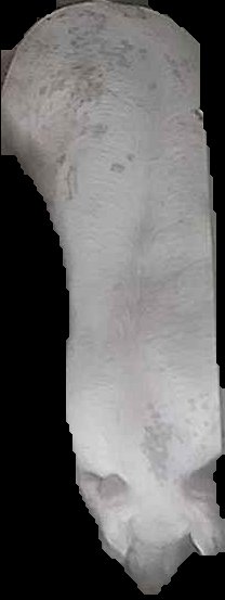 Crop