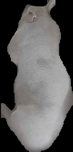 Crop