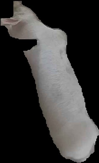 Crop