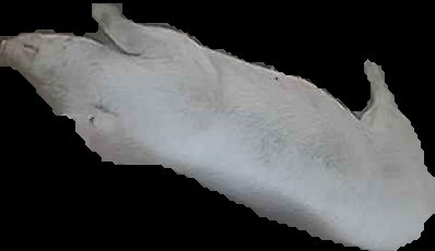 Crop