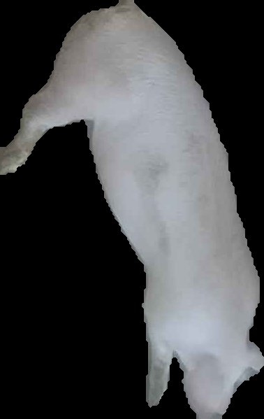 Crop