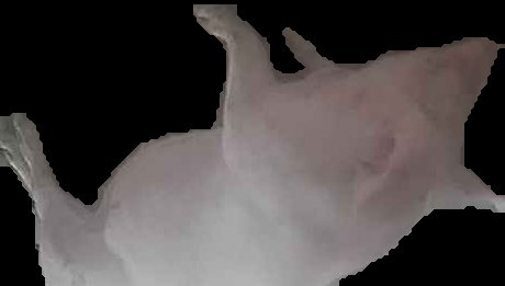 Crop