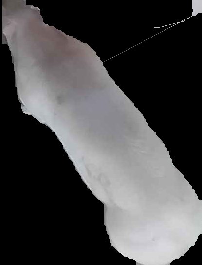 Crop