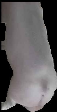 Crop