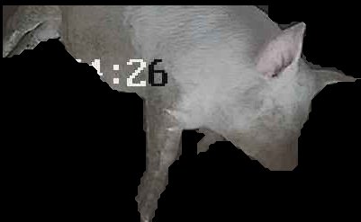 Crop