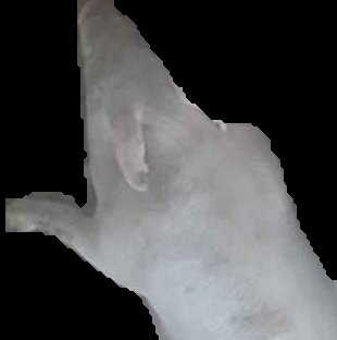 Crop