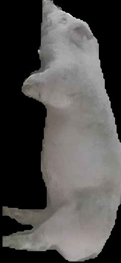 Crop