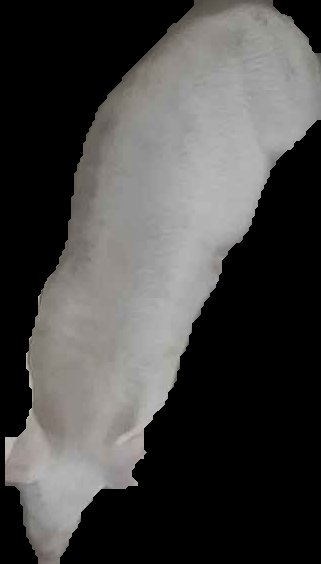 Crop