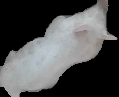 Crop