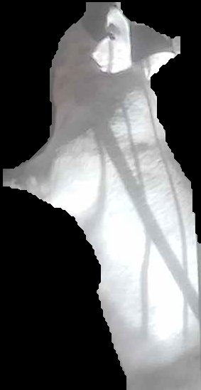 Crop