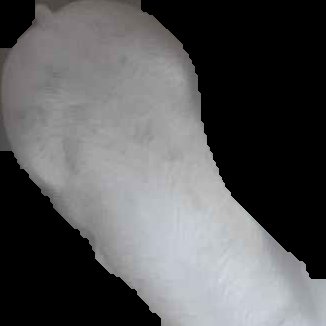 Crop
