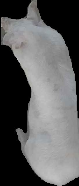 Crop