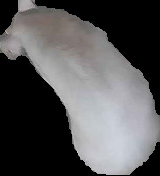 Crop