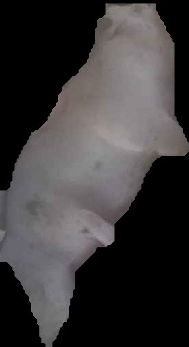 Crop