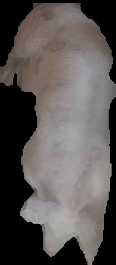Crop