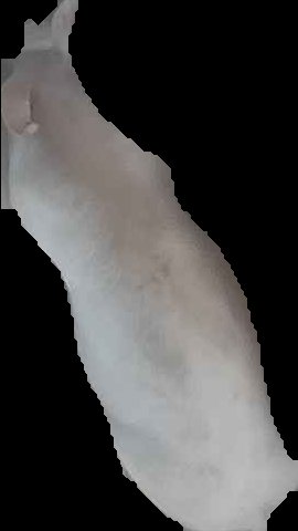 Crop