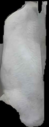 Crop