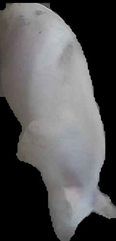 Crop