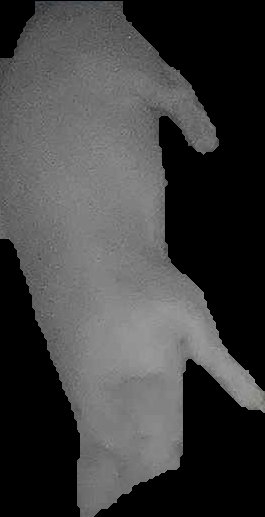 Crop