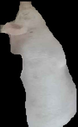 Crop