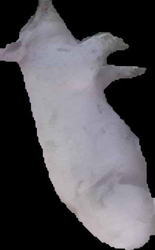 Crop