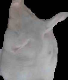 Crop