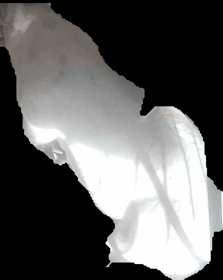 Crop