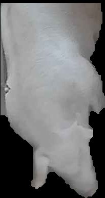 Crop