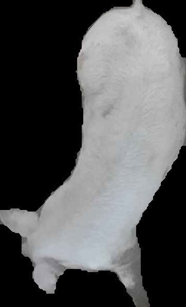 Crop