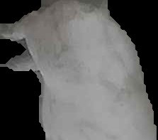 Crop