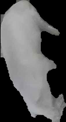 Crop