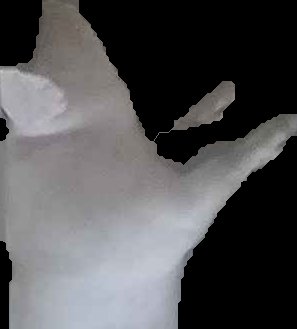Crop
