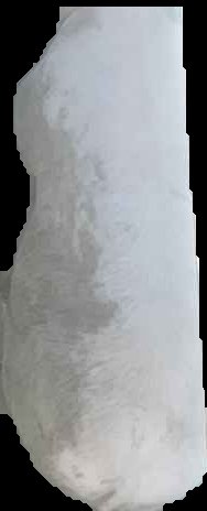 Crop