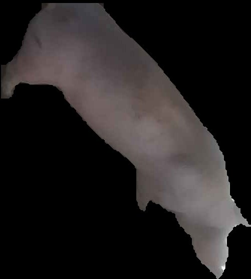 Crop