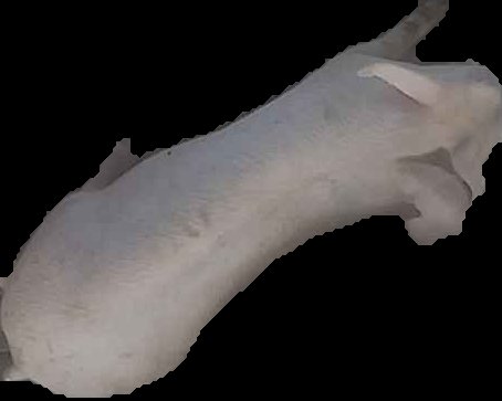 Crop