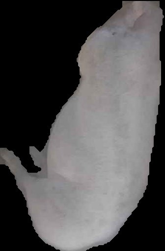 Crop