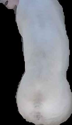 Crop