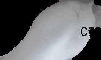 Crop