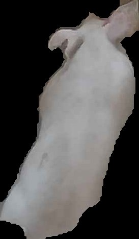 Crop