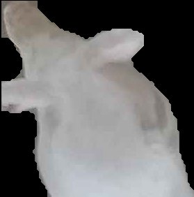 Crop