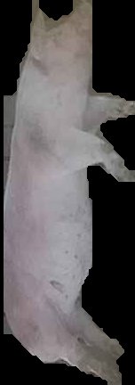 Crop