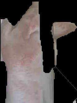 Crop
