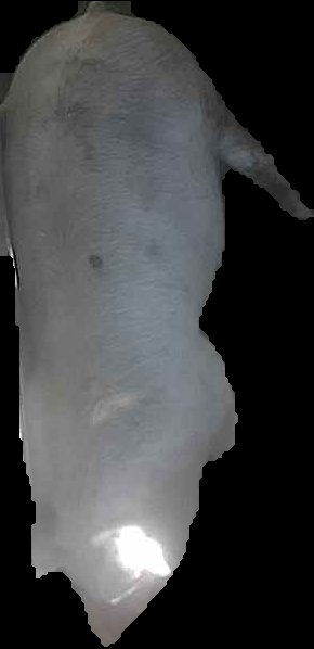 Crop