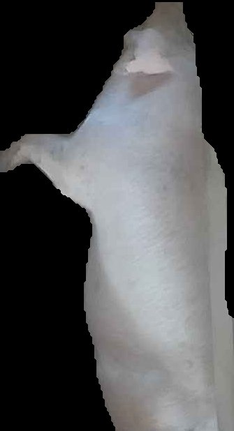 Crop